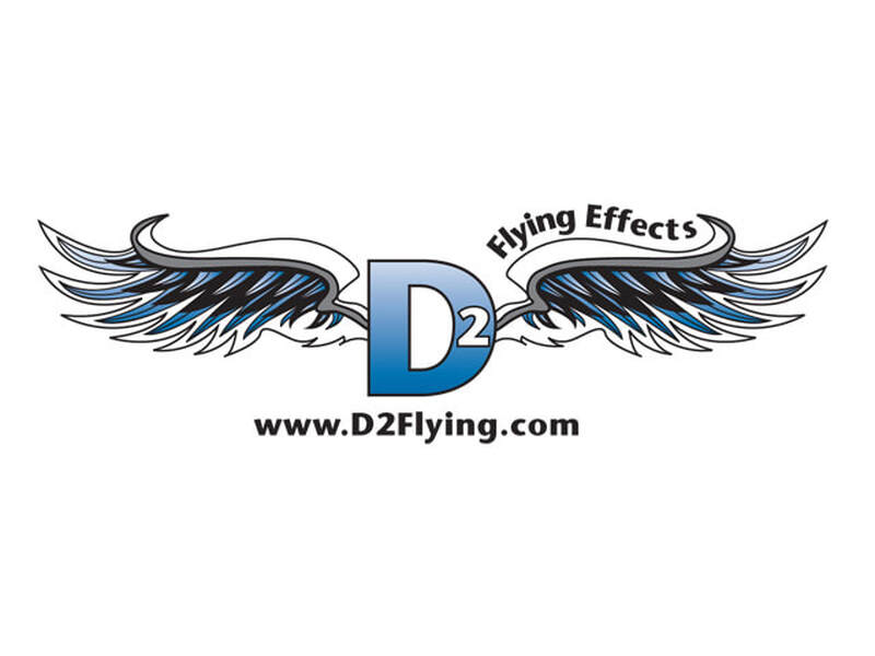 d2 flying effects company logo mark with hand drawn wings