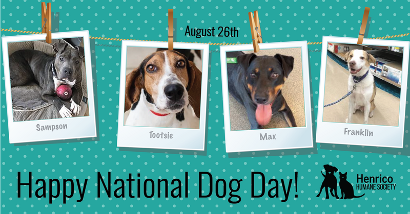 Henrico Humane National Dog Day banner with photos of dogs.